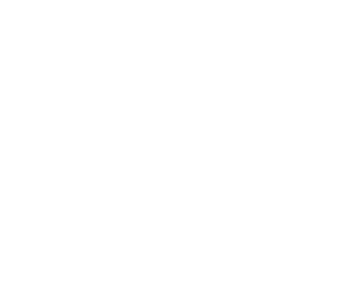 SplashLogo